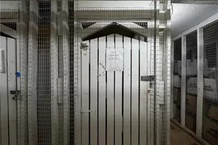 6851 Roswell Rd, Atlanta, GA 30328 - Photo 47