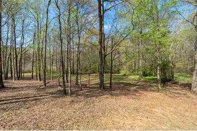 110 Allie Drive, McDonough, GA 30252 - Photo 63