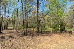 110 Allie Dr, McDonough, GA 30252 - Photo 63