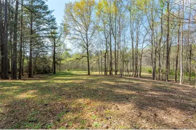 110 Allie Drive, McDonough, GA 30252 - Photo 67