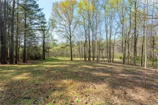 110 Allie Dr, McDonough, GA 30252 - Photo 67