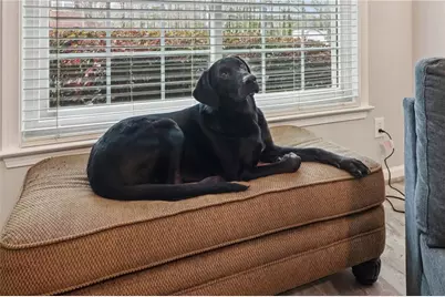 1787 Heights Circle NW, Kennesaw, GA 30152 - Photo 5