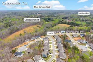 7134 Bluebird Cv, Gainesville, GA 30506 - Photo 69