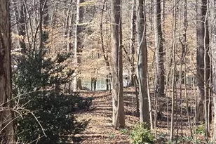 5984 Dolvin Ln, Buford, GA 30518 - Photo 53