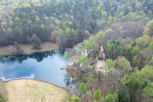 75 Star Wars Path, Dallas, GA 30132 - Photo 69