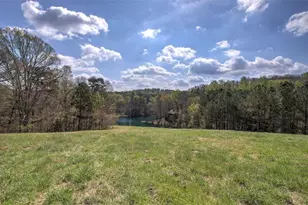 75 Star Wars Path, Dallas, GA 30132 - Photo 65