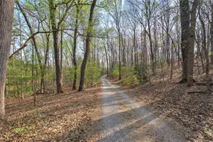 75 Star Wars Path, Dallas, GA 30132 - Photo 3