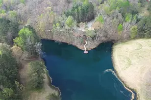 75 Star Wars Path, Dallas, GA 30132 - Photo 69