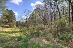 75 Star Wars Path, Dallas, GA 30132 - Photo 79
