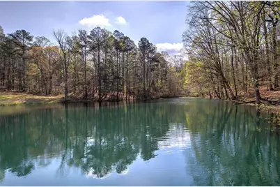 75 Star Wars Path, Dallas, GA 30132 - Photo 61