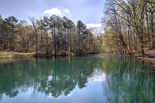 75 Star Wars Path, Dallas, GA 30132 - Photo 61