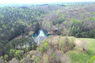 75 Star Wars Path, Dallas, GA 30132 - Photo 85