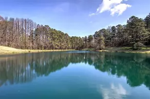 75 Star Wars Path, Dallas, GA 30132 - Photo 59