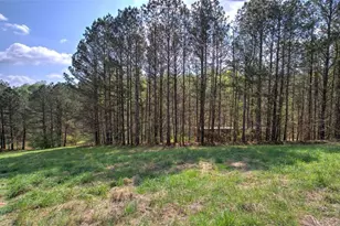 75 Star Wars Path, Dallas, GA 30132 - Photo 65