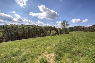 75 Star Wars Path, Dallas, GA 30132 - Photo 67