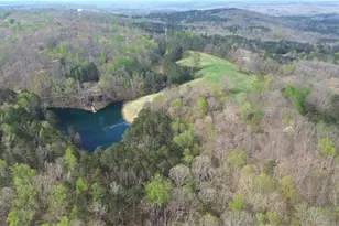 75 Star Wars Path, Dallas, GA 30132 - Photo 85