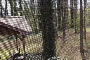 7725 Silversmith Dr, Cumming, GA 30028 - Photo 7