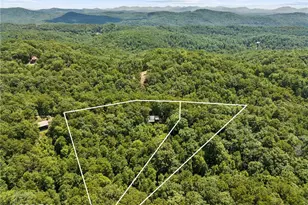 [Address not provided], Mineral Bluff, GA 30559 - Photo 3