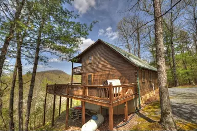 220 Lakota Lane, Mineral Bluff, GA 30559 - Photo 39