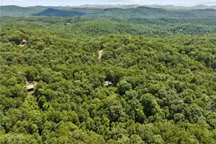 [Address not provided], Mineral Bluff, GA 30559 - Photo 47