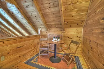 220 Lakota Lane, Mineral Bluff, GA 30559 - Photo 23