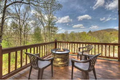 220 Lakota Lane, Mineral Bluff, GA 30559 - Photo 7