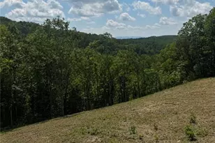 1521 Azure Ln, Ranger, GA 30734 - Photo 37