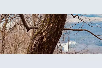 280 Big Stump Mountain Trail, Jasper, GA 30143 - Photo 3