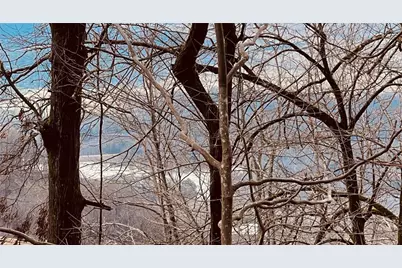 280 Big Stump Mountain Trail, Jasper, GA 30143 - Photo 13