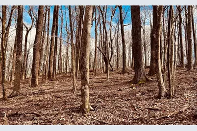 280 Big Stump Mountain Trail, Jasper, GA 30143 - Photo 17