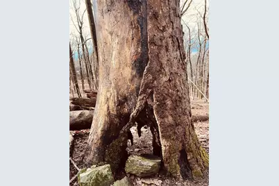 280 Big Stump Mountain Trail, Jasper, GA 30143 - Photo 7