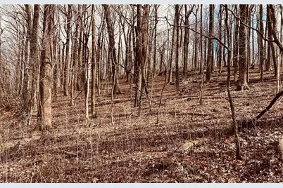 280 Big Stump Mountain Trail, Jasper, GA 30143 - Photo 15