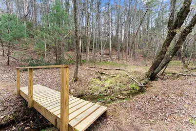 301 Hawks Nest, Sautee Nacoochee, GA 30571 - Photo 41