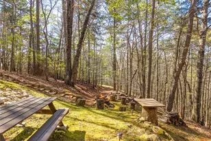 144 Monet Dr, Ellijay, GA 30540 - Photo 55