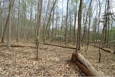 5720 Winding Rose Trail, Flowery Branch, GA 30542 - Photo 5