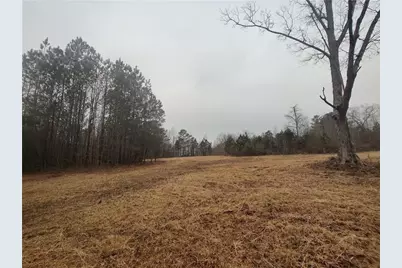 916 Tab Roberts Road, Lawrenceville, GA 30043 - Photo 3