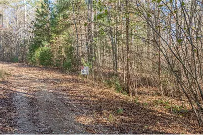 0 Pine Woods Drive, Blairsville, GA 30512 - Photo 15