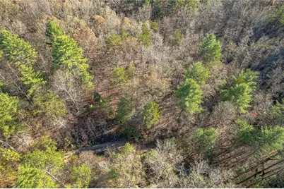 0 Pine Woods Drive, Blairsville, GA 30512 - Photo 3