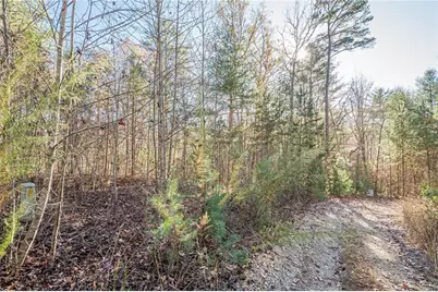0 Pine Woods Drive, Blairsville, GA 30512 - Photo 23