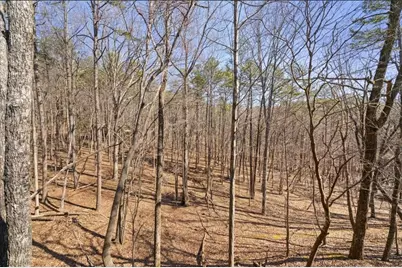 81 Cardinal Cove, Big Canoe, GA 30143 - Photo 29