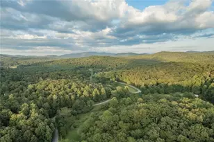 140 Black Oaks Road, Cherry Log, GA 30522 - Photo 29