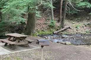 60 Clubhouse Ct, Ellijay, GA 30536 - Photo 51