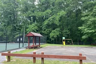 60 Clubhouse Ct, Ellijay, GA 30536 - Photo 55