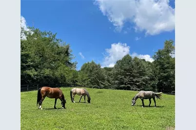 147 Laurel Mill Trail, Jasper, GA 30143 - Photo 63