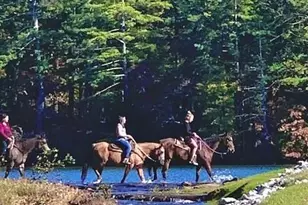 147 Laurel Mill Trail, Jasper, GA 30143 - Photo 61