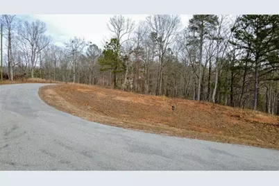 Lot 43 Bucktail Way, Talking Rock, GA 30175 - Photo 3