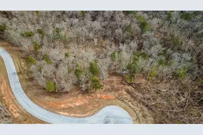 Lot 43 Bucktail Way, Talking Rock, GA 30175 - Photo 9