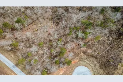 Lot 43 Bucktail Way, Talking Rock, GA 30175 - Photo 11