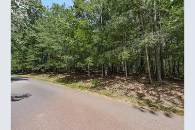 140 Joe Green Lane, Canton, GA 30114 - Photo 5