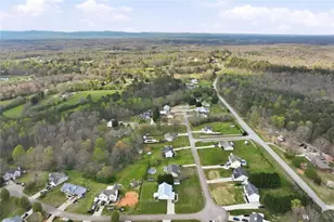 190 Bridgewater Dr, Mount Airy, GA 30563 - Photo 33